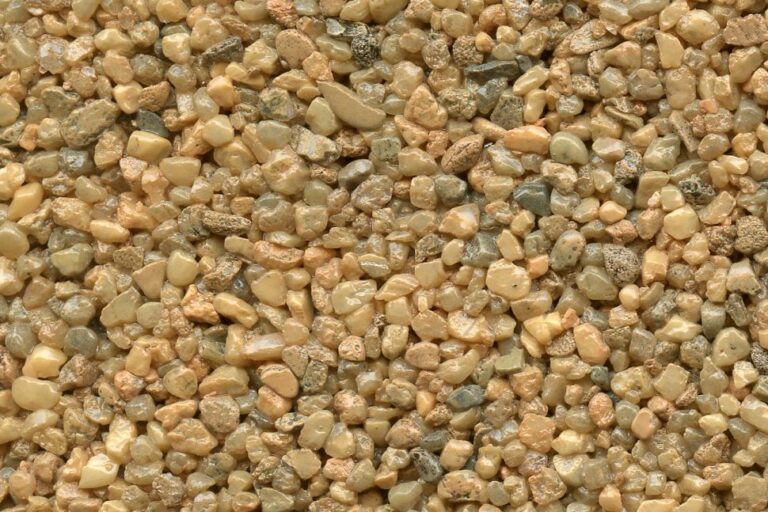 Summer 41