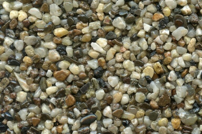 Natur Dunkel